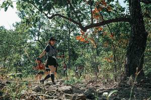 BIB: 
                            <button type="button" onclick="openModal(26109799)" class="btn btn-primary btn-sm float-right btn-popup" data-toggle="modal" data-target=".modal-high-quality">
                        <i class="fas fa-shopping-cart"></i> Add to Cart
                    </button>
                                            <button type="button" onclick="isThisMe(26109799, true)" class="btn btn-success btn-sm float-right btn-popup btn-isme hidden" data-toggle="tooltip" data-placement="bottom" title="นี่คือรูปของคุณใช่ไหม คลิกที่นี่เพื่อเอาเข้าอัลบั้ม">
                        <i class="fas fa-plus"></i> Add to album
                    </button>
                    <button type="button" onclick="isThisMe(26109799, false)" class="btn btn-warning btn-sm float-right btn-popup btn-isnotme hidden">
                        <i class="fas fa-ban"></i> Remove from album
                    </button>